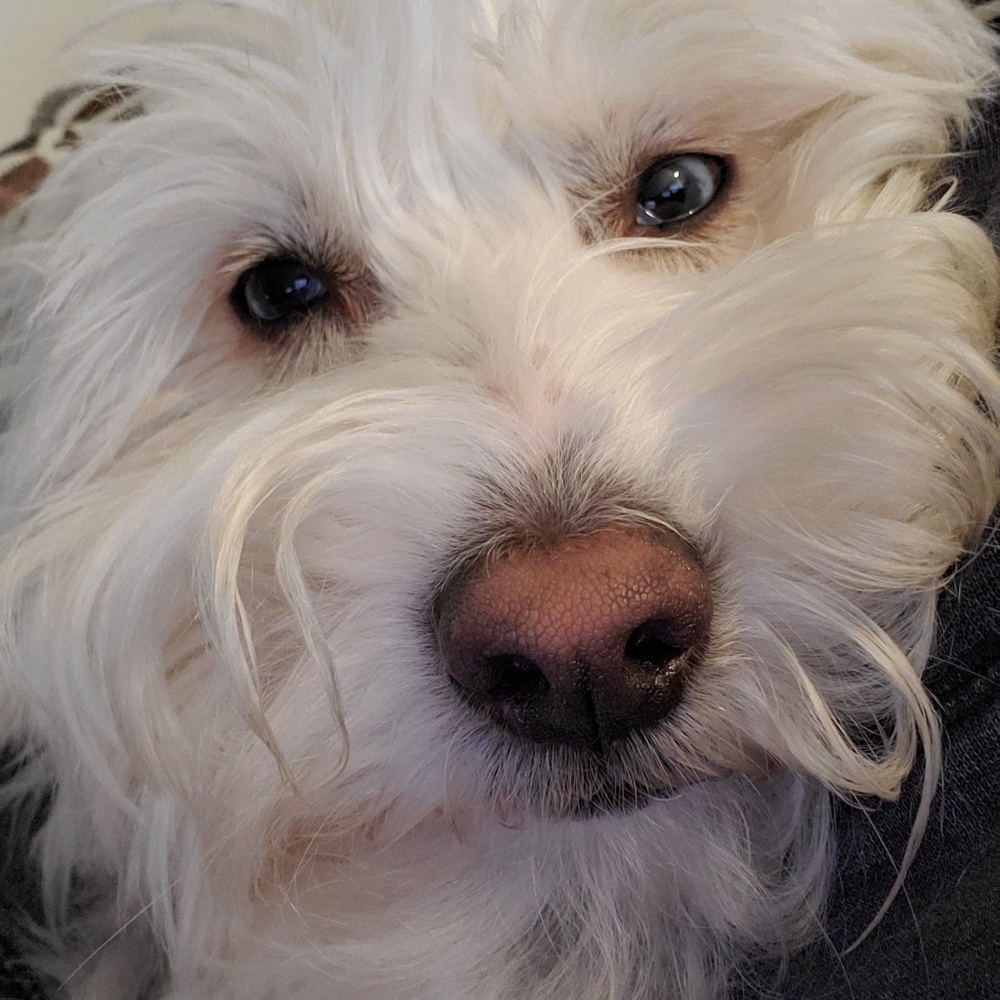 Meet your Posher, Rebekah